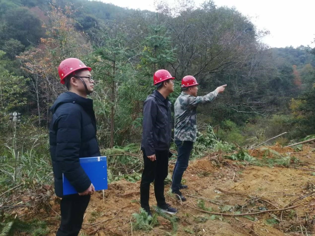 全面強化安全責(zé)任，嚴(yán)守森林防火線——福建金森全力保障生產(chǎn)安全