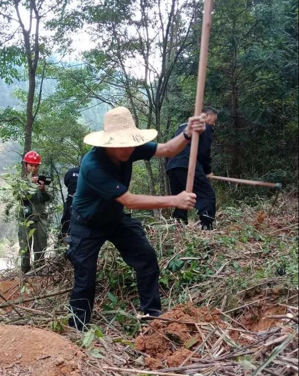 干好每一天|青山掛白我復(fù)綠，無私奉獻金森人——資源保護部義務(wù)突擊隊工作記實
