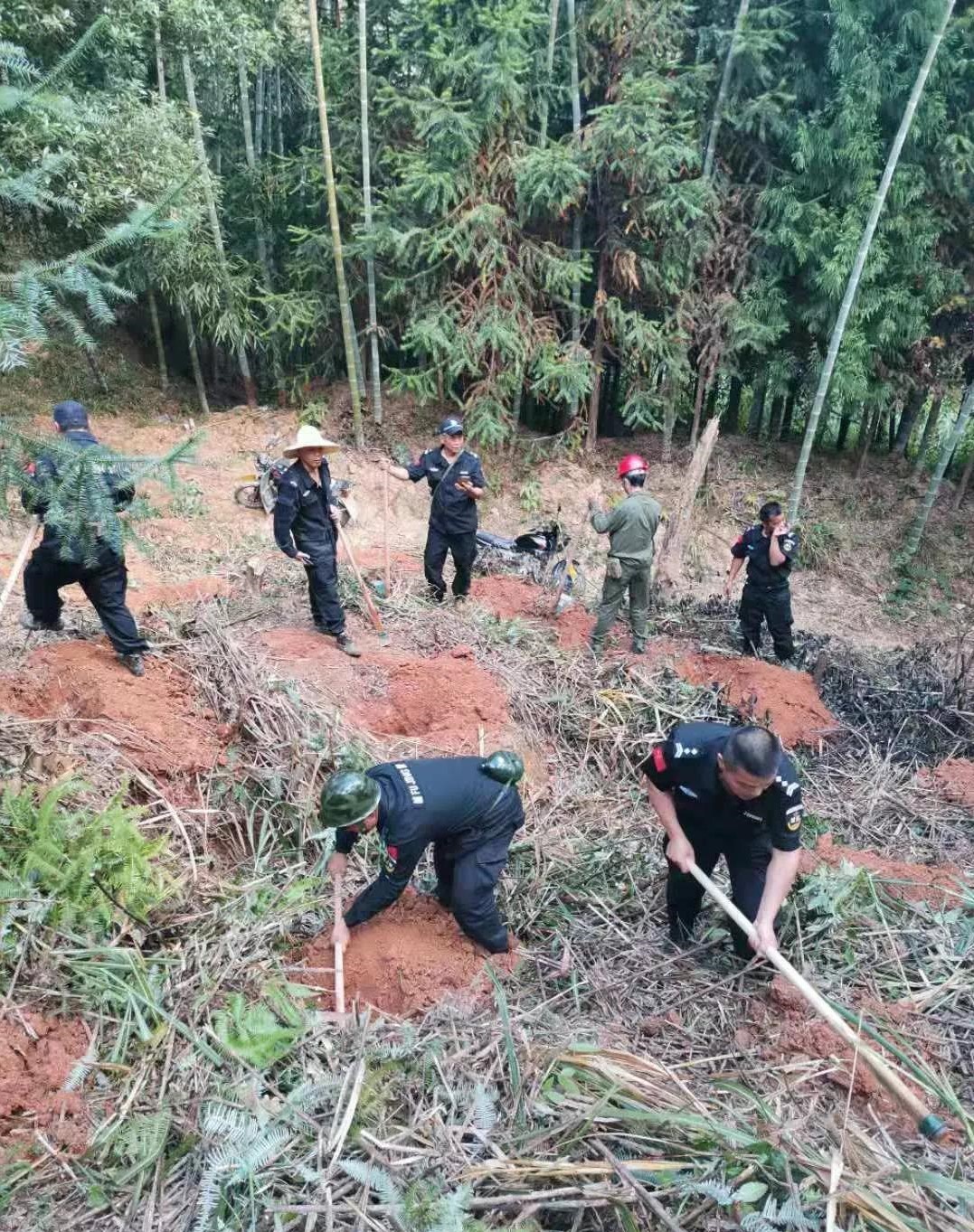干好每一天|青山掛白我復(fù)綠，無私奉獻金森人——資源保護部義務(wù)突擊隊工作記實
