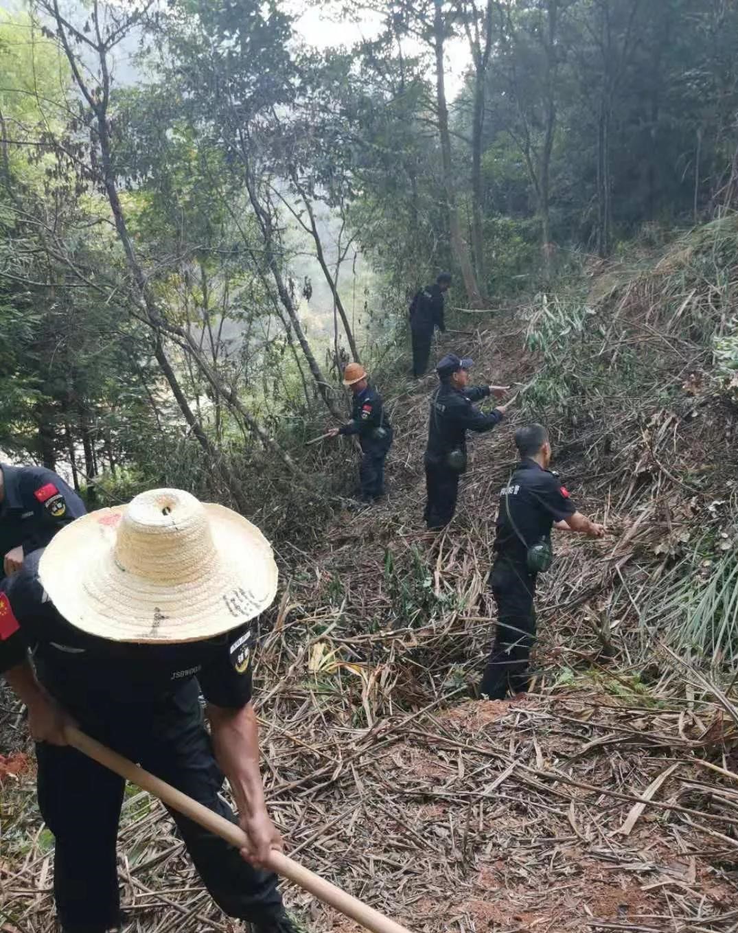 干好每一天|青山掛白我復(fù)綠，無私奉獻金森人——資源保護部義務(wù)突擊隊工作記實