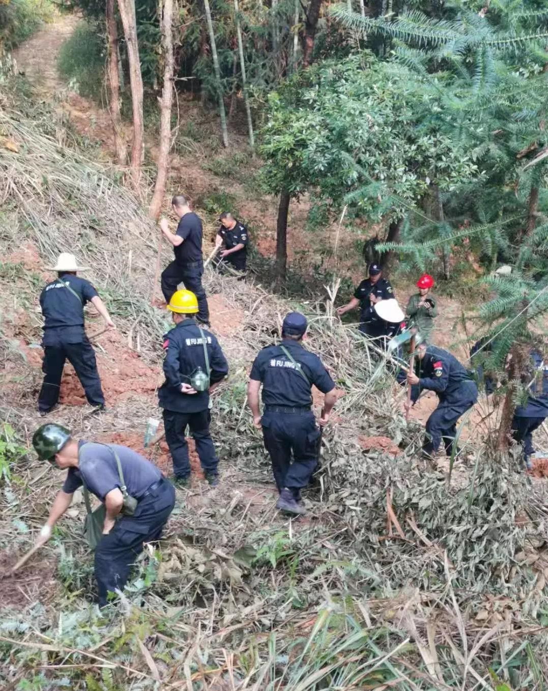 干好每一天|青山掛白我復(fù)綠，無私奉獻金森人——資源保護部義務(wù)突擊隊工作記實