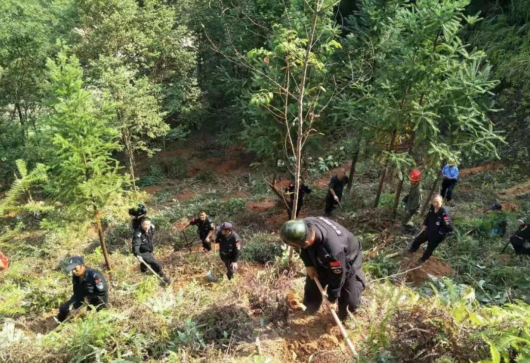 干好每一天|青山掛白我復(fù)綠，無私奉獻金森人——資源保護部義務(wù)突擊隊工作記實