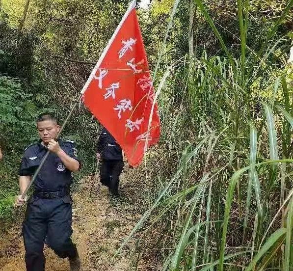 干好每一天|青山掛白我復(fù)綠，無私奉獻金森人——資源保護部義務(wù)突擊隊工作記實